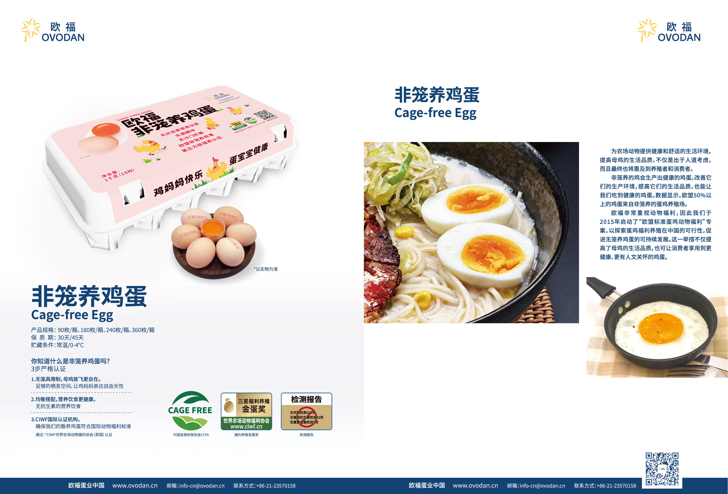 欧福蛋业的非笼养鸡蛋 产品规格90枚/箱、180枚/箱、240枚/箱、360枚/箱