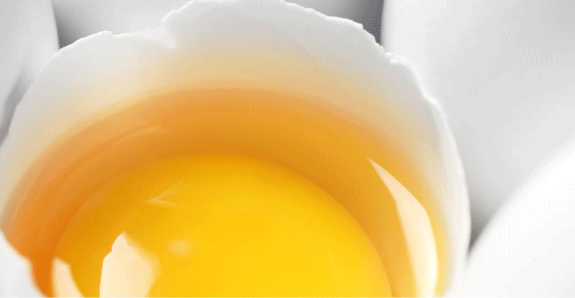 ABUIABAEGAAgsLLtygYotNaRRDCECTjYBA